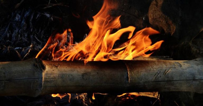 Can You Burn Bamboo in a Fire Pit [Answered & Explained]
