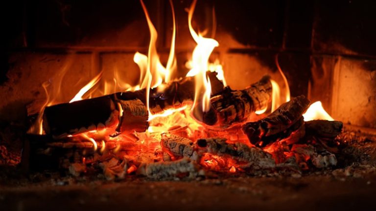 [Answered] Can You Burn Sweet Gum in a Fireplace?