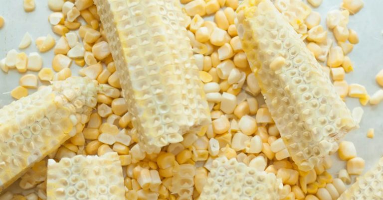 Can I Compost Corn Cobs | Composting Process and Tips