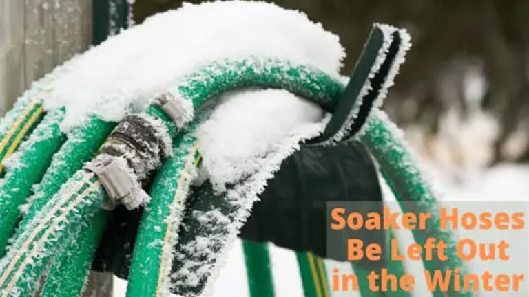 Can You Leave Soaker Hoses Out All Winter – All You  Need to Know