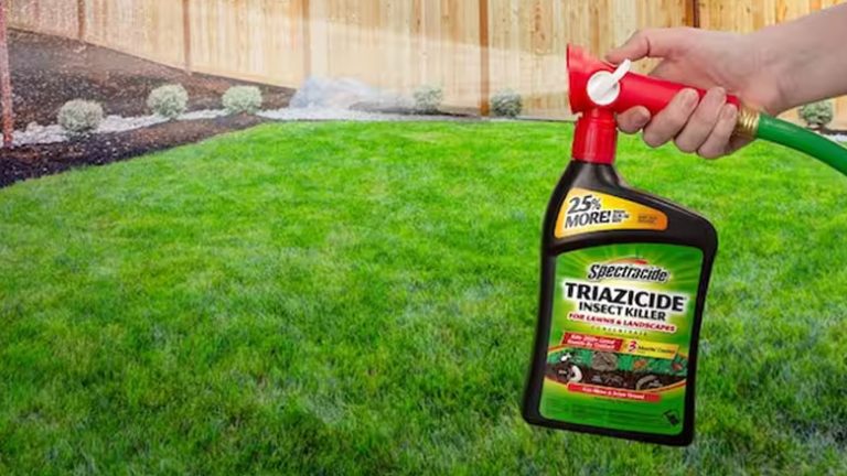 Can You Spray Triazicide on Plants | Things You Should Know