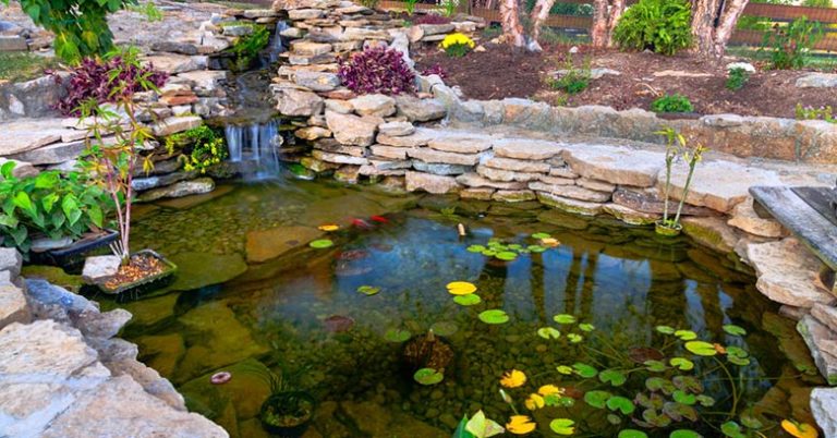 Can You Use Sump Pump Water for Garden? A Complete Guideline for You