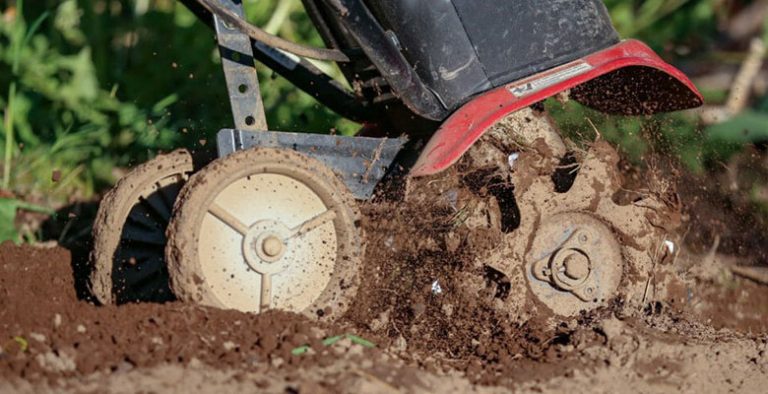 Can You Use a Tiller to Remove Grass – Explained