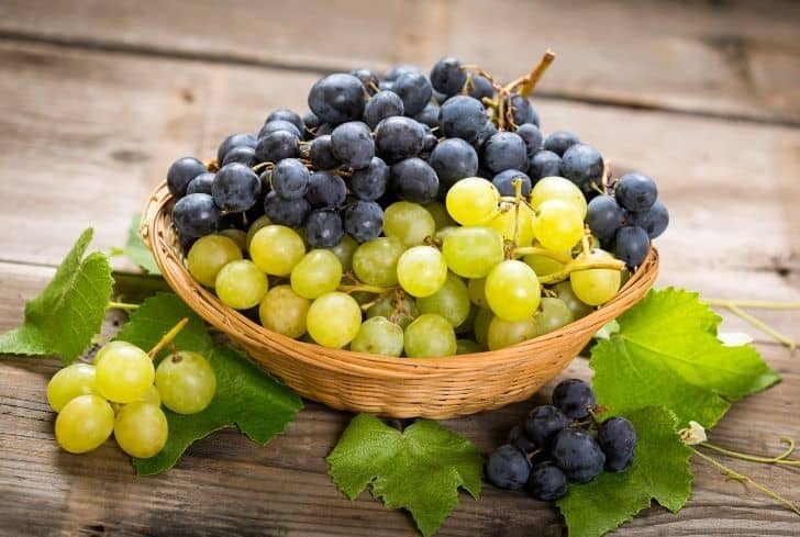 Can You Compost Grapes – Best Composting Tips